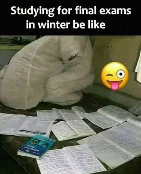 Student Meme Of Someone Wrapped In Duvet With Several Books And Notes Open Spread Out