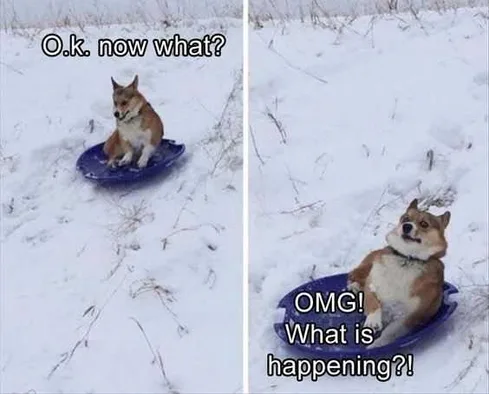 Funny What Now