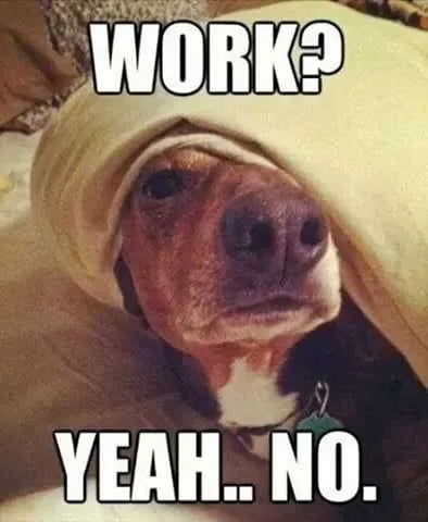 Funny Work No