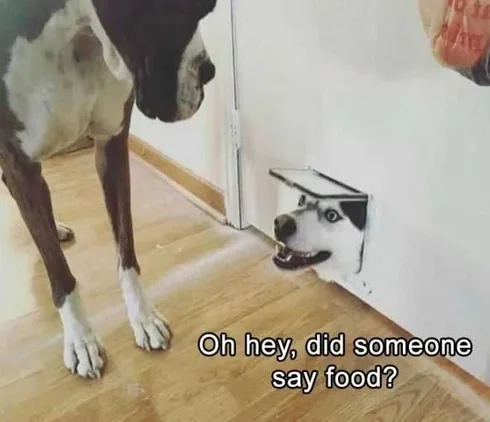 Pet Didsomeone