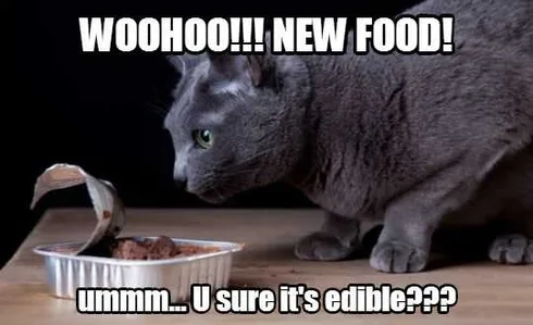 Pet Ediblefood