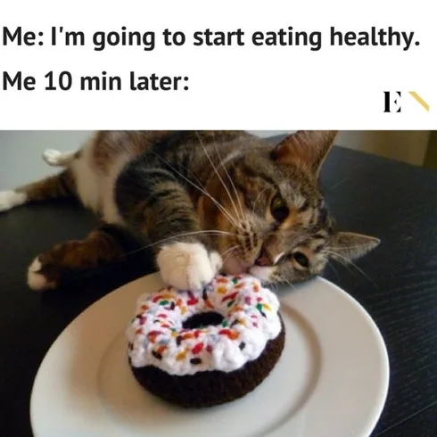 Pet Hungryminutes