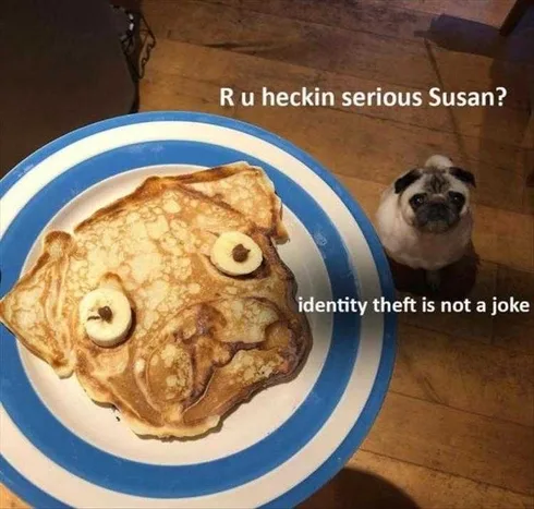Pet Identitytheft
