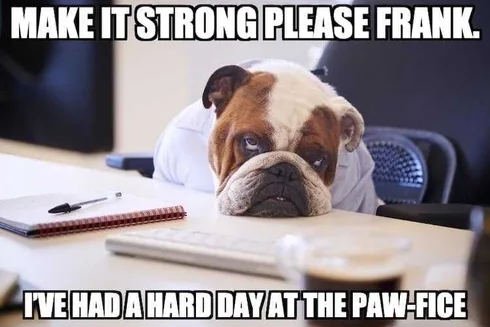 Pet Pawoffice