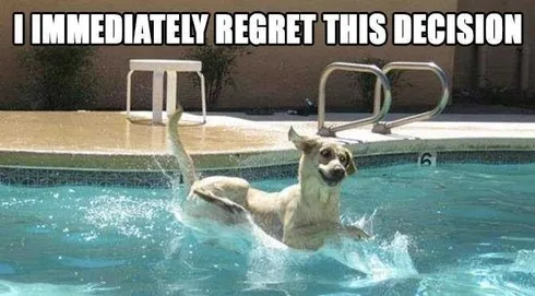 Pet Regretpool