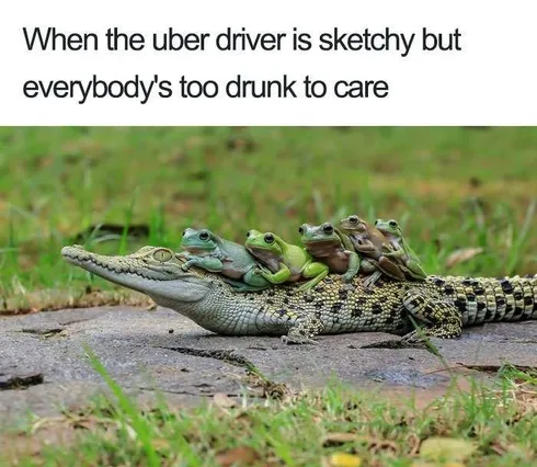 Pet Ubersketchy