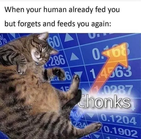 Funny-Chonks Funny Chonks