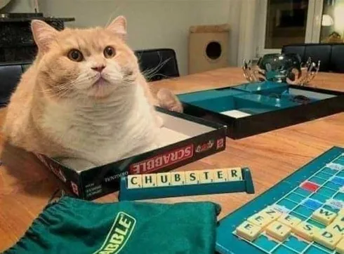 Funny-Chonky-Scrabble Funny Chonky Scrabble