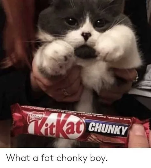 Funny-Chunky-Ba Funny Chunky Ba