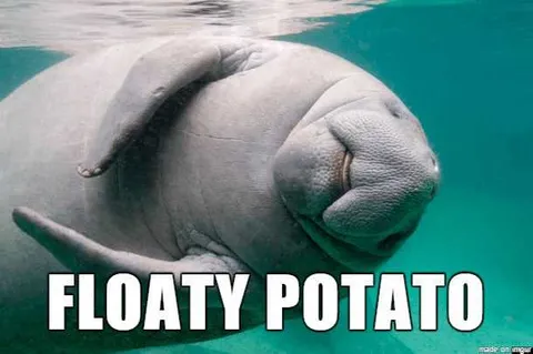 Animal-Floaty-Potato Animal Floaty Potato