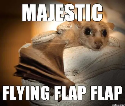 Animal-Majestic Animal Majestic
