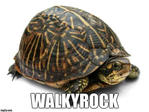 Animal-Walky-Rock Animal Walky Rock