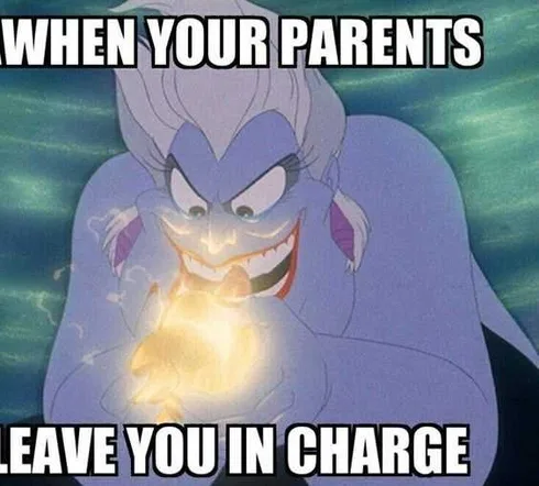 Funny-Leave-You-In-Charge Funny Leave You In Charge