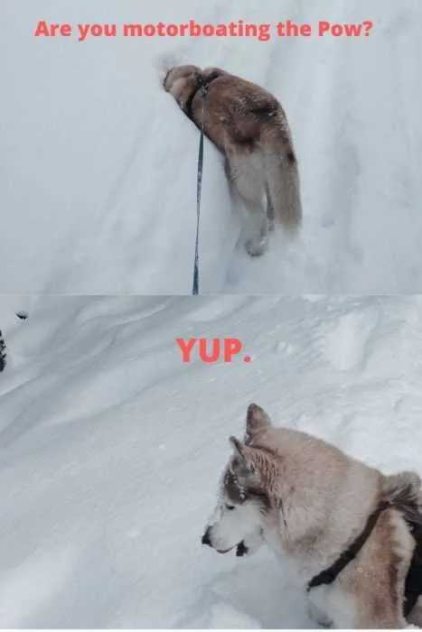 Motorboating The Pow Husky Motor Boating Snow