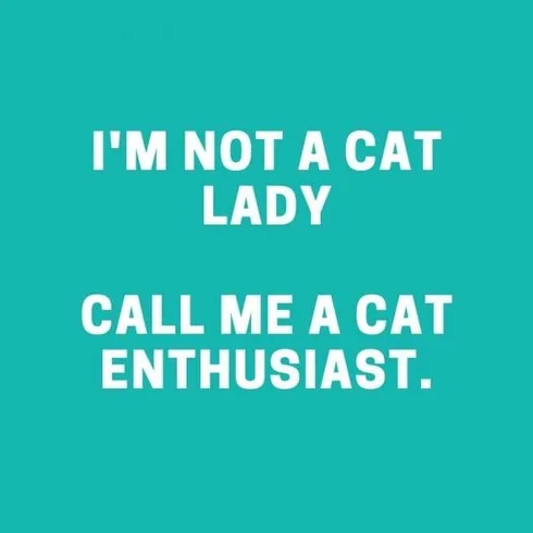 Quote-Cat-Lady Quote Cat Lady