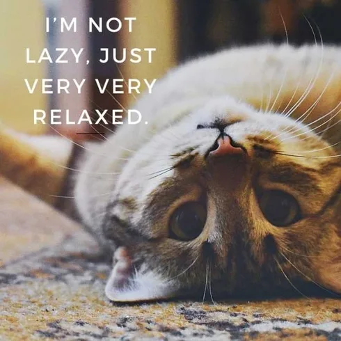 Quote-Not-Lazy Quote Not Lazy