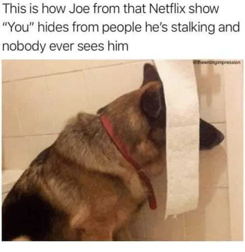You-Hiding-Lile-This Joe Goldberg Memes You Hiding In Plain Sight Meme