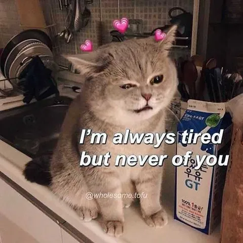 Funny-Always-Tired Funny Always Tired