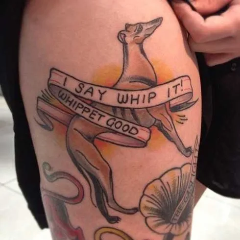Funny-Whippet-Good Funny Whippet Good