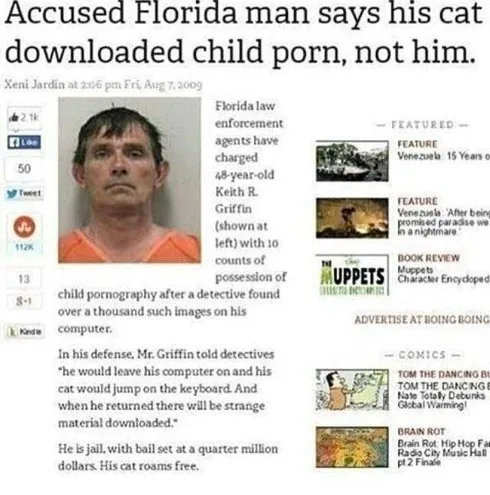 Florida-Cat Florida Cat