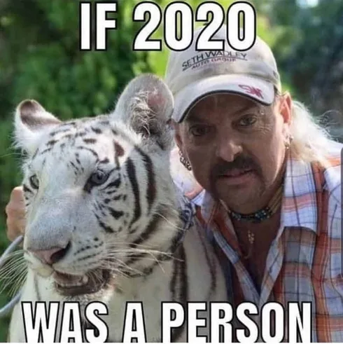 Tiger-2020 Tiger King Memes If 2020 Was A Person