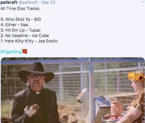 Tiger-Disss-Track Tiger King Memes Here Kitty Kitty