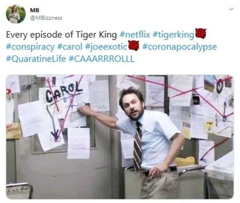 Tiger-Every-Ep Tiger King Memes Comes Down To Carol