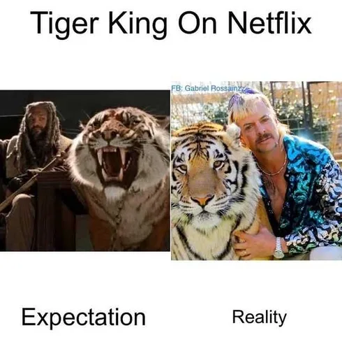 Tiger-Expectation-Reality Tiger King Memes Did Not Expect That