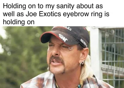 Tiger-Eyebrow Tiger King Memes Joe Exotics Eyebrow Ring