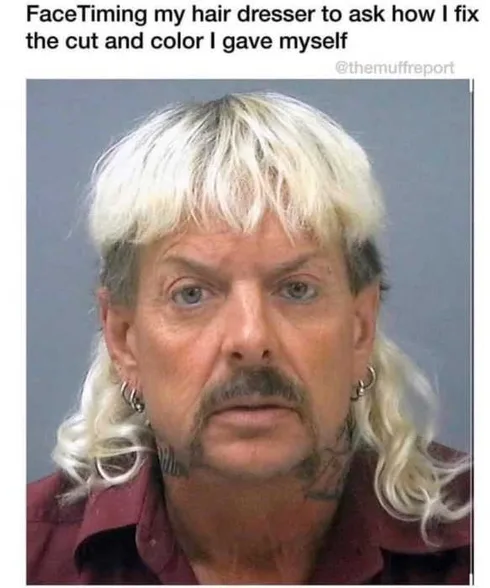 Tiger-Face-Timing Tiger King Memes Facetiming Hair Dresser