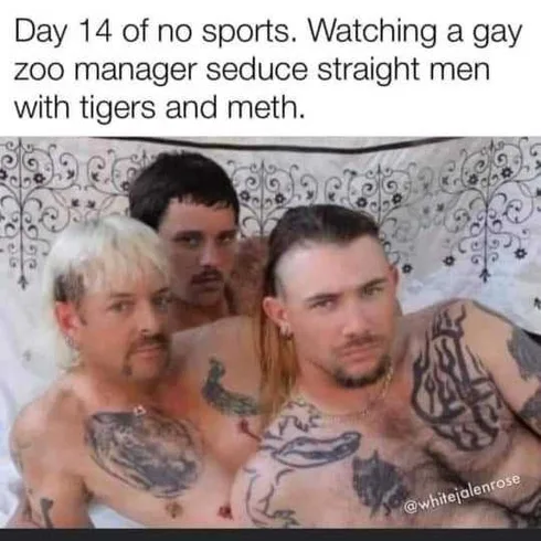 Tiger-Gay-Seduce Tiger King Memes When You Don't Do Sports For 14 Days