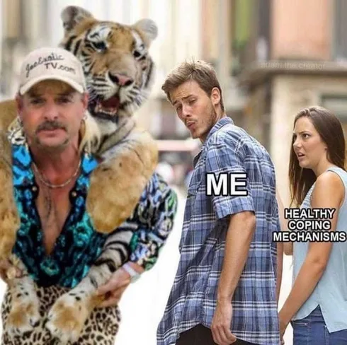 Tiger-Healthy-Coping Tiger King Memes Forget Healthy Coping Mechanisms