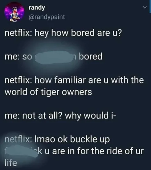 Tiger-How-Are-You Tiger King Memes Netflix Ride Of Your Life