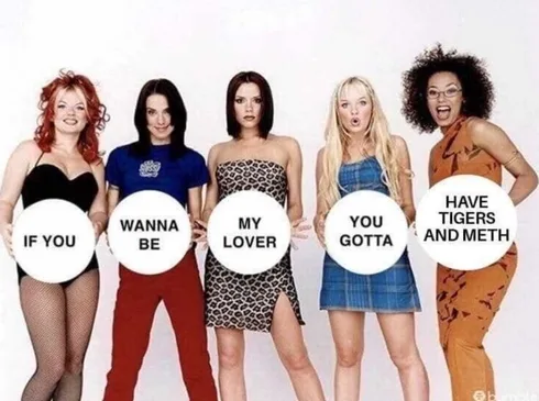 Tiger-Love-Spice Tiger King Memes Spice Girls Meme