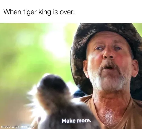Tiger-Make-More Tiger King Memes Make More