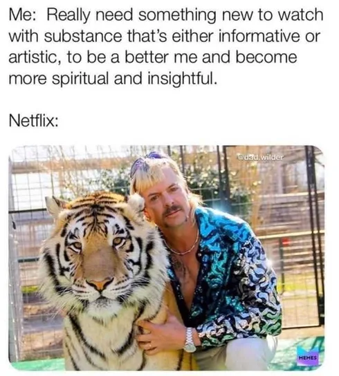 Tiger-Netlix-Huh Tiger King Memes Tiger King On Netflix