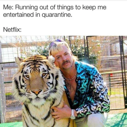 Tiger-Running-Out Tiger King Memes Netflix Has The Answer