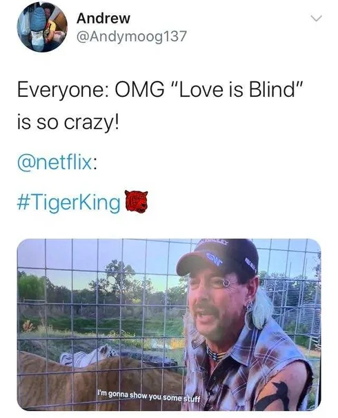 Tiger-Show-You-Stuff Tiger King Memes Love Is Blind Vs Tigerking