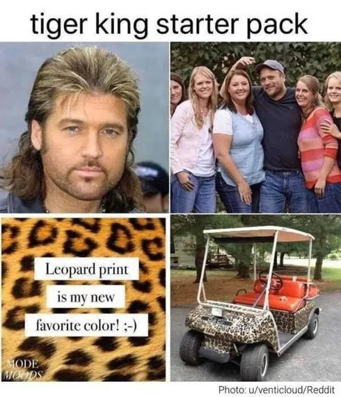 Tiger-Starter-Pack Tiger King Memes Tiger King Starter Pack
