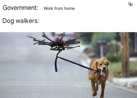 Meme-Dog-Walk-From-Home Funny Quarantine Memes Joining The Tech Boom