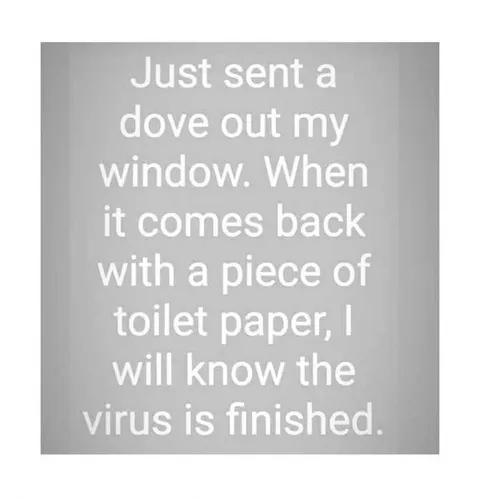Meme-Dove-Virus Funny Quarantine Memes Modern Day Noah's Ark