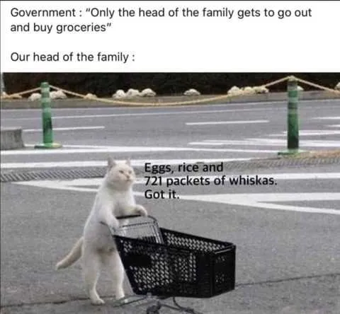 Meme-Only-Head Funny Quarantine Memes Grabbing Essentials