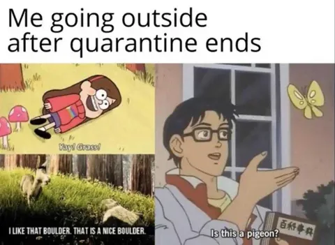 Meme-Outside-2020 Funny Quarantine Memes Haven't Seen Outside