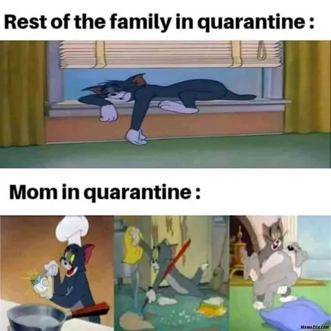Meme-Rest-Of-Family Funny Quarantine Memes Quarantine Differences