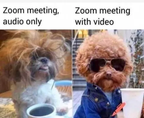 Meme-Zoom-Audio Funny Quarantine Memes Gotta Look Good For Zoom