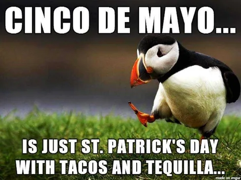 16E7390Dd435D8104Dac5F5327B003Ea Cinco De Mayo Memes Cinco De Mayo Meme Showing The Similarities Between Cinco De Mayo And St. Patrick's Day