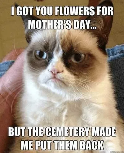 18Ff03E0-E3Ca-0133-Afd7-0E05Be20883D Mothers Day Memes Mom Meme About A Grumpy Cat Saying She Got Mom Flowers From The Cemetary