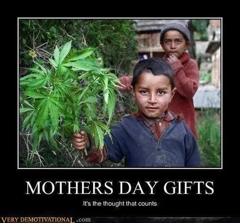Mothers-Day-Gift-Cannabis-Flowers-Meme Mothers Day Memes Mom Meme About How A Child Gives Mom Weed For Mother's Day