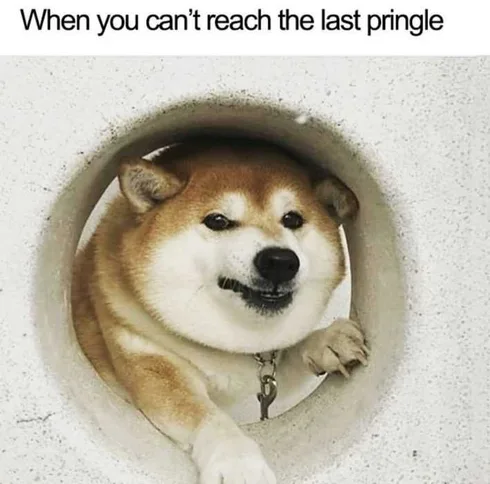 Reaching-For-Last-Pringle-Meme Meme Showing An Annoyed Dog Captioned With When You Can't Reach The Last Pringle