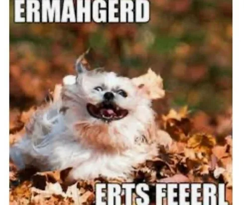 Fall-Equinox-Excitement Fall Equinox